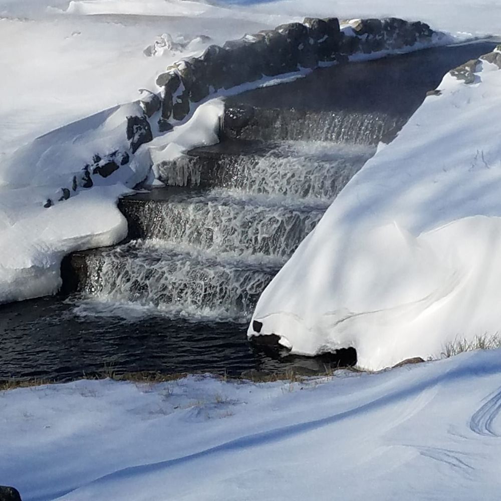 Meet your Posher, Nerlande